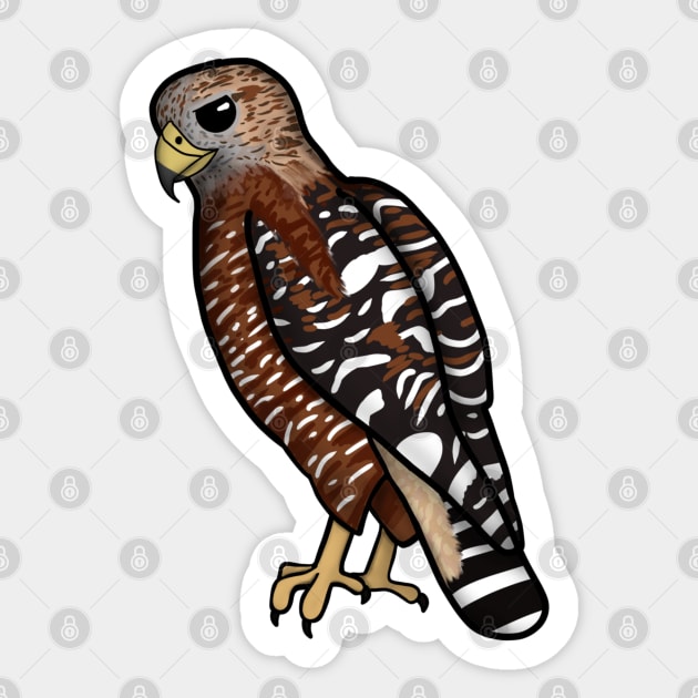 Red Shouldered Hawk Sticker by Aeriskate